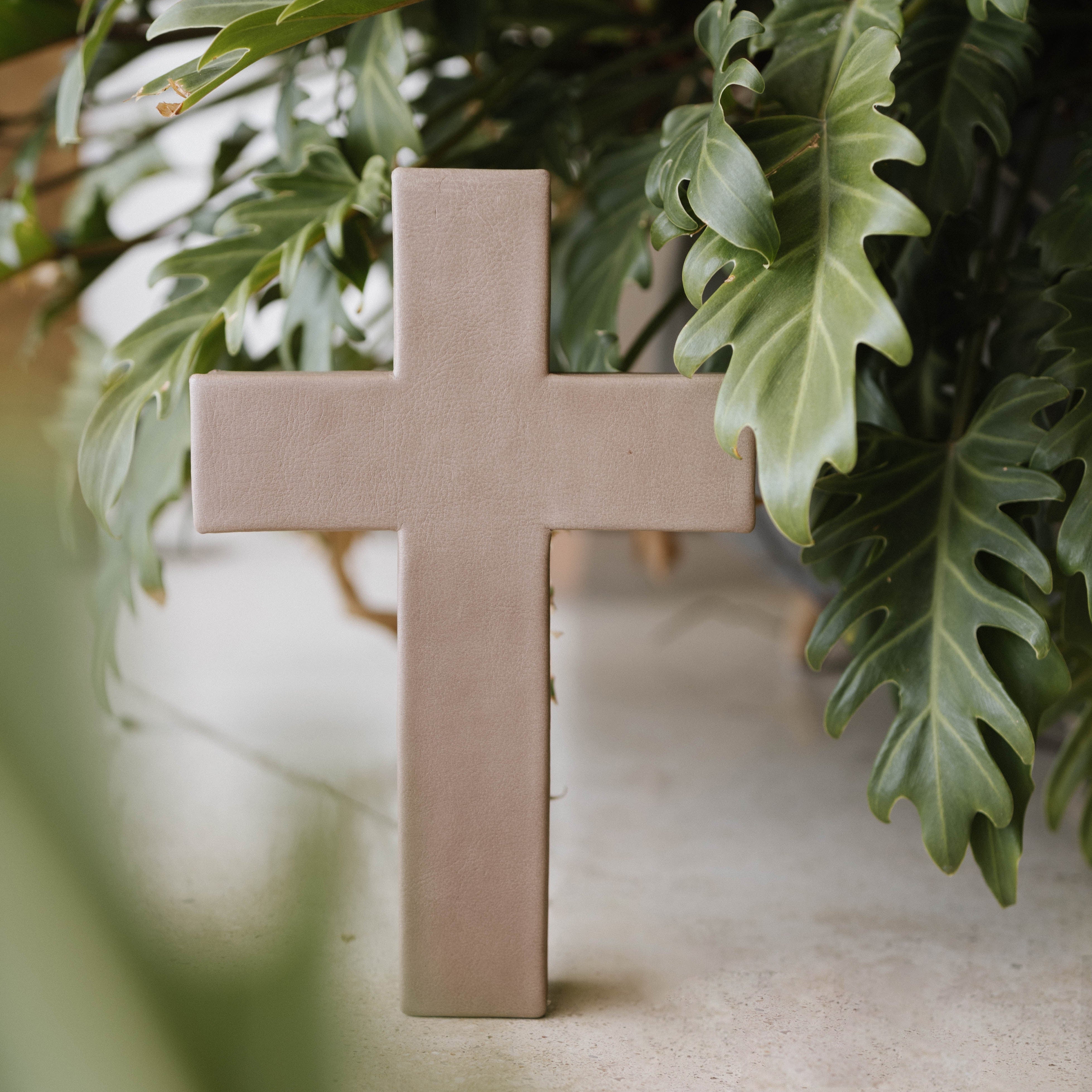 Cruz Donoso Clásica N.0